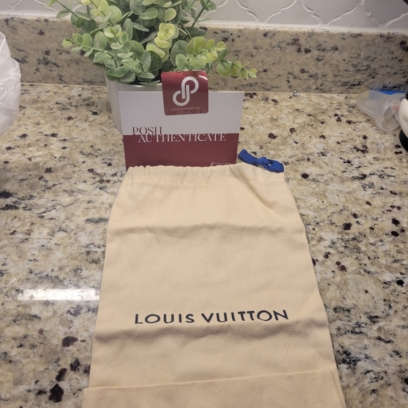 LV‎ Favorite MM crossbody - Picture 13 of 14